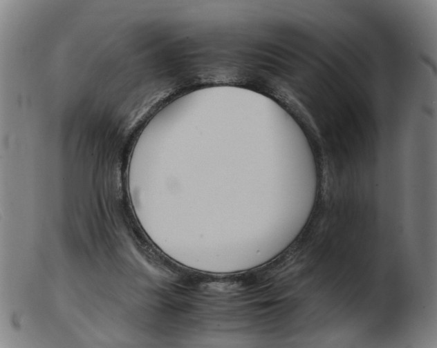 X0000103960251200809191341