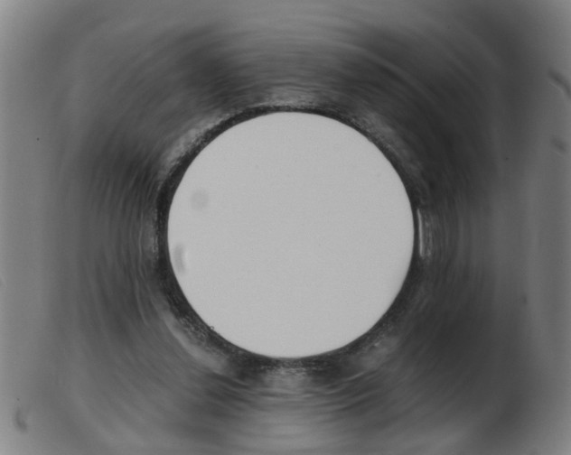 X0000103960252200809191341