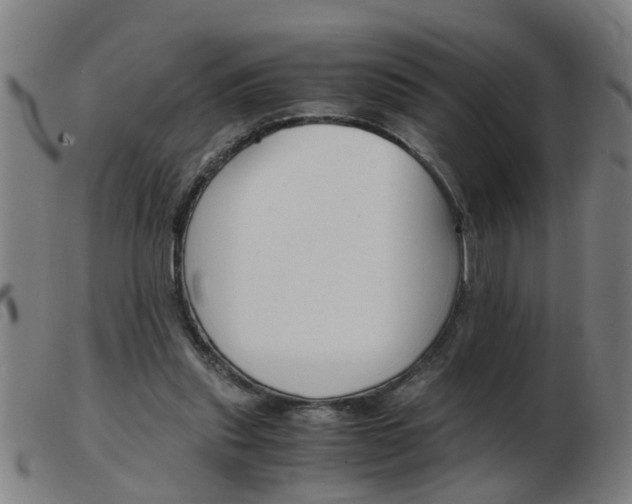 X0000103960253200809191341