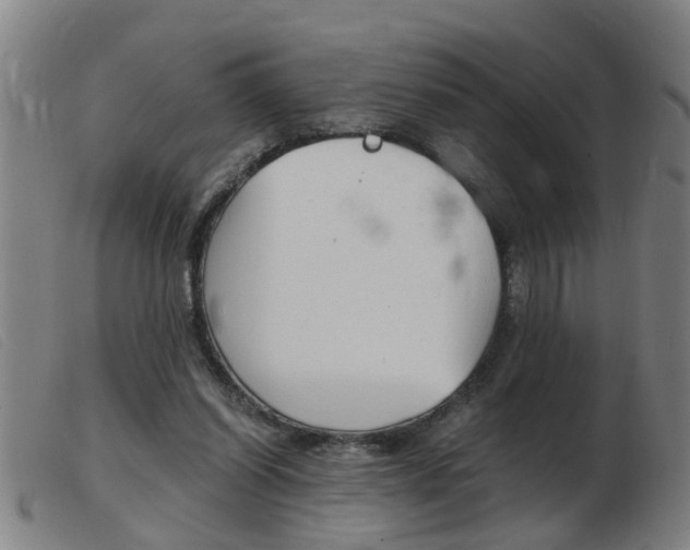 X0000103960254200809191341