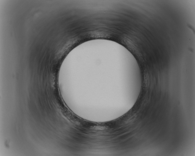 X0000103960255200809191341