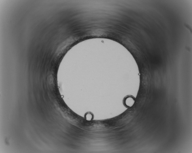 X0000103960256200809191341