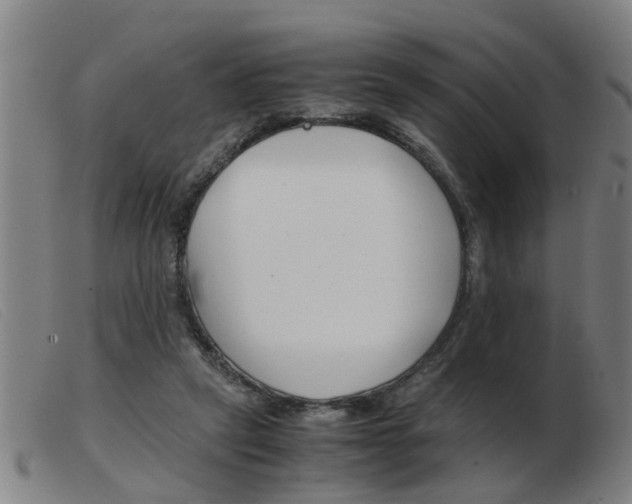 X0000103960257200809191341
