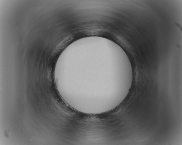 X0000103960258200809191341