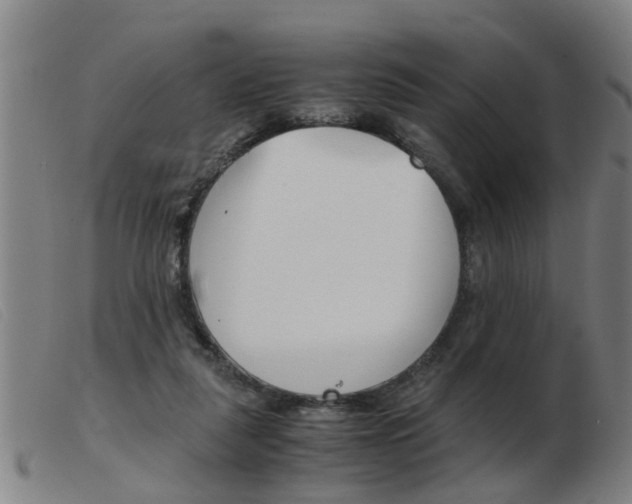 X0000103960259200809191341