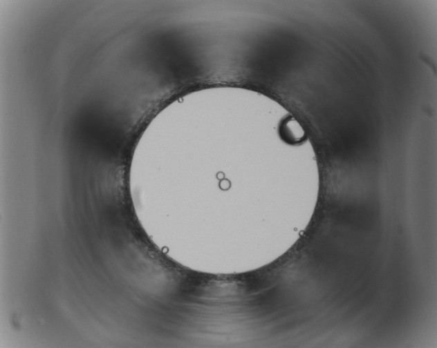 X0000103960260200809191341