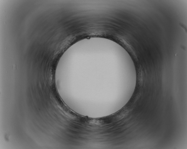 X0000103960261200809191341