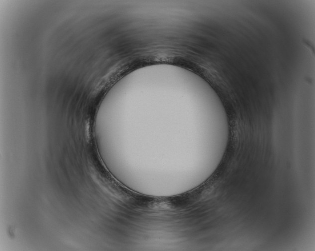 X0000103960262200809191341