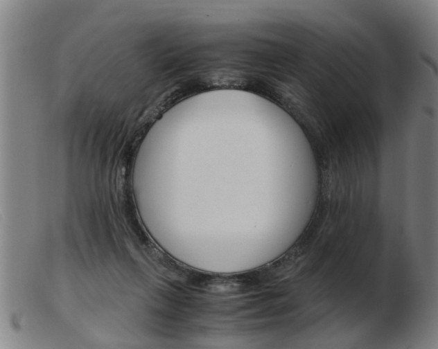 X0000103960263200809191341