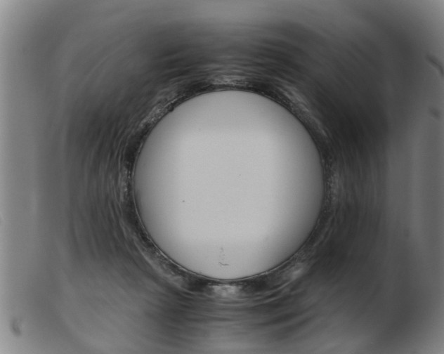 X0000103960265200809191341