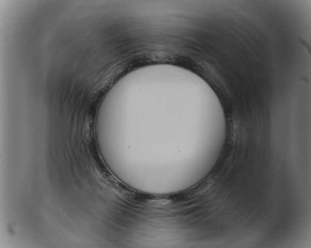 X0000103960266200809191341