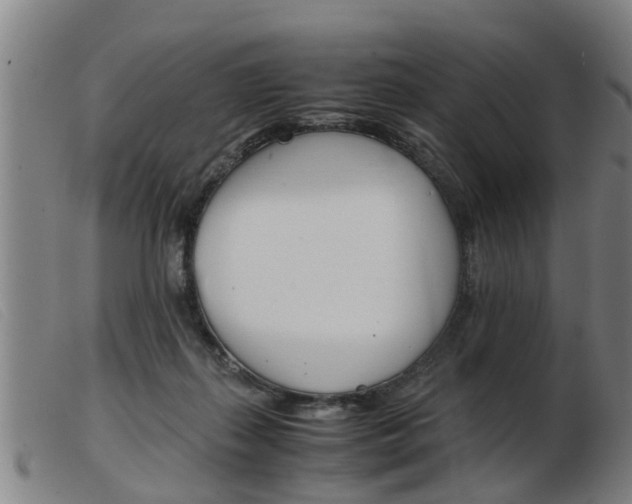 X0000103960267200809191341