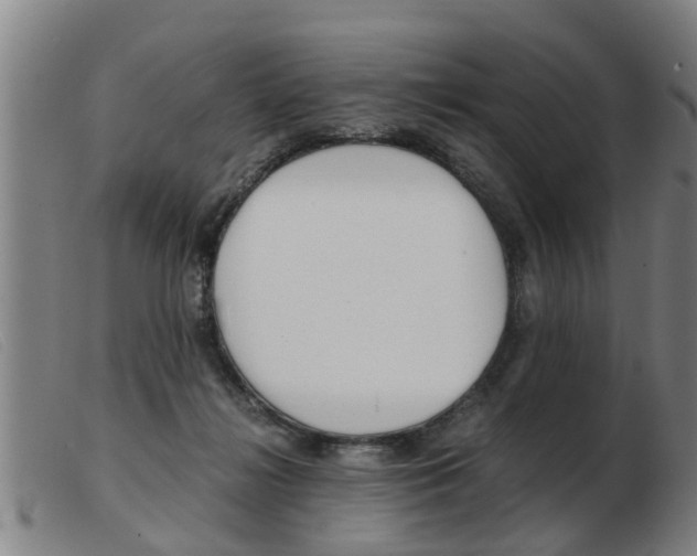 X0000103960268200809191341