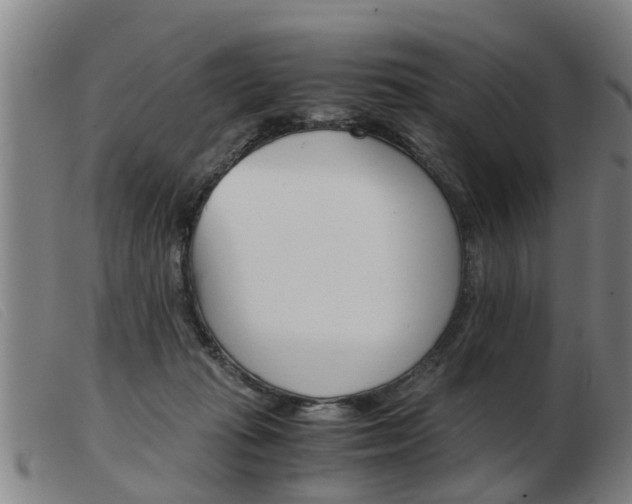 X0000103960269200809191341