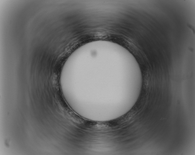 X0000103960270200809191341