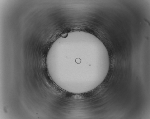 X0000103960272200809191341
