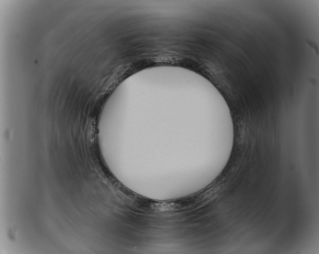 X0000103960273200809191341