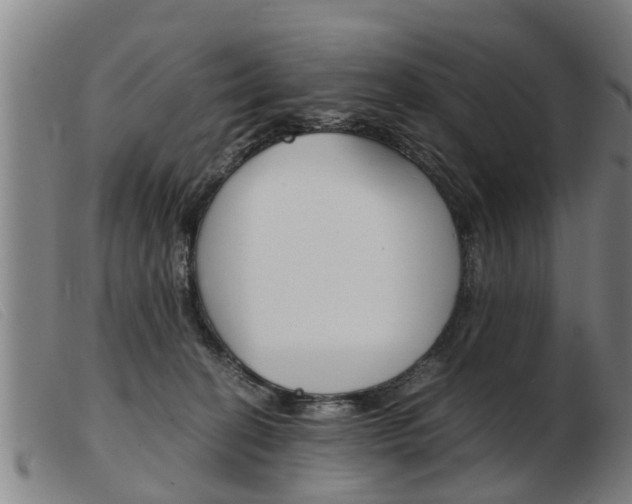 X0000103960274200809191341