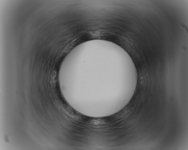 X0000103960275200809191341