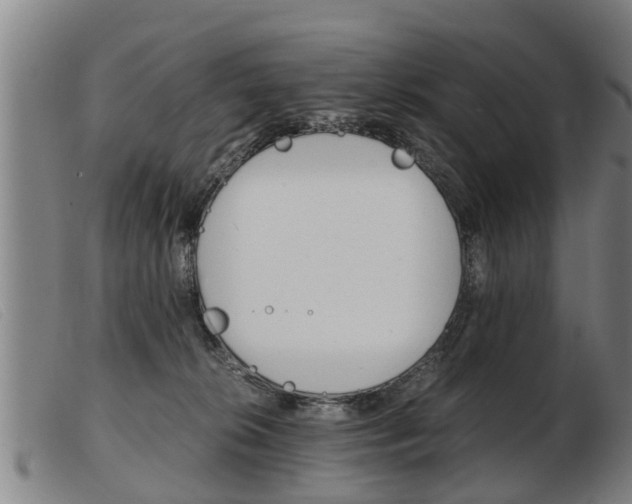X0000103960276200809191341