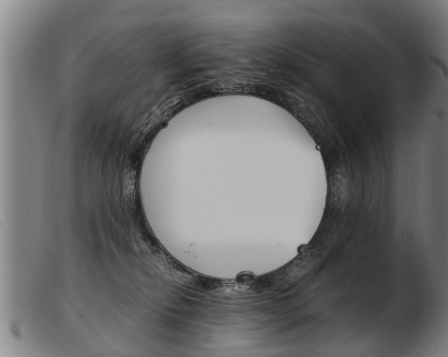 X0000103960278200809191341