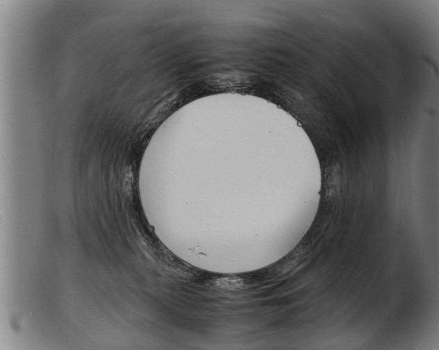X0000103960279200809191341