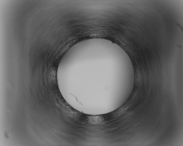 X0000103960281200809191341