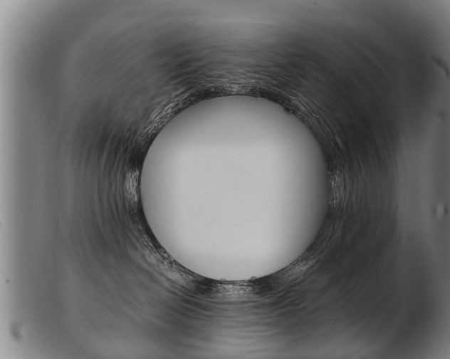 X0000103960286200809191341