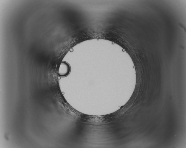 X0000103960288200809191341