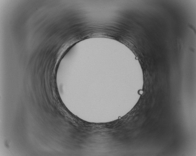 X0000103960289200809191341