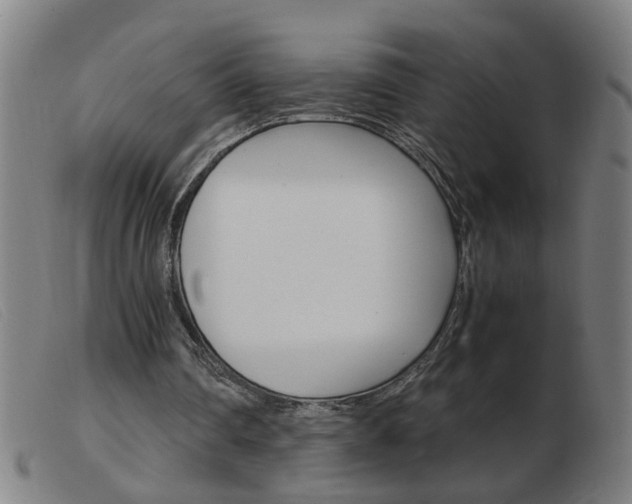 X0000103960290200809191341