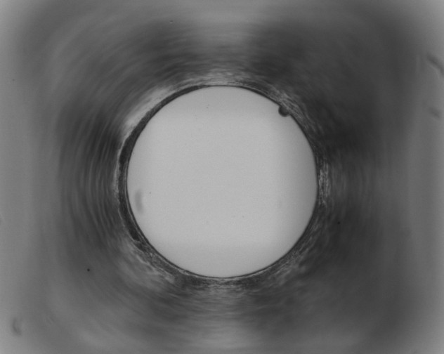 X0000103960292200809191341