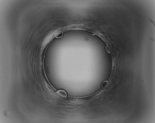 X0000103960293200809191341