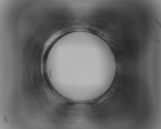X0000103960294200809191341