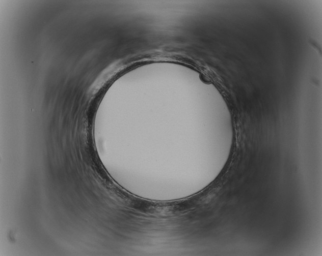 X0000103960295200809191341