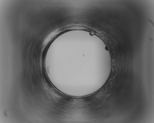 X0000103960296200809191341