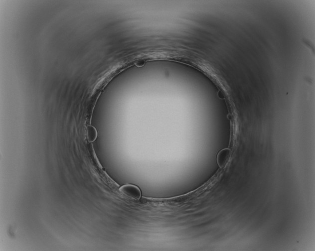 X0000103960297200809191341