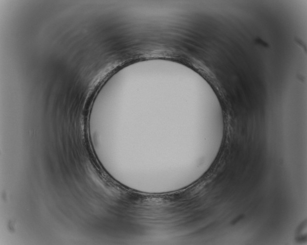 X0000103960298200809191341