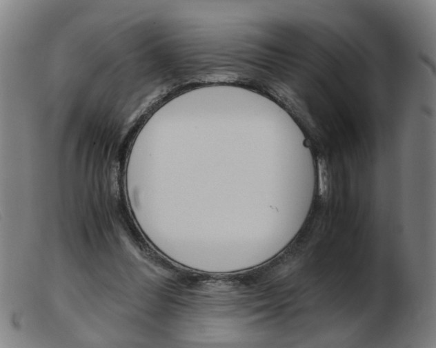 X0000103960300200809191341