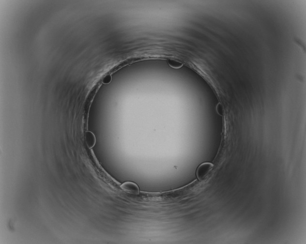 X0000103960301200809191341
