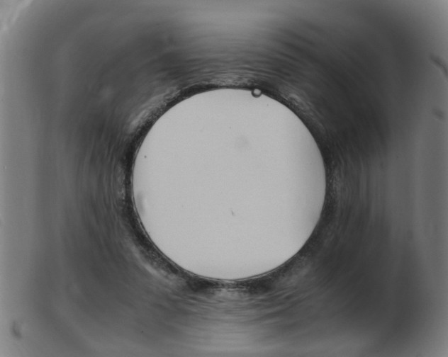 X0000103960303200809191340