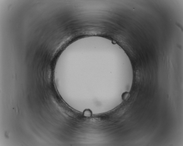 X0000103960304200809191340
