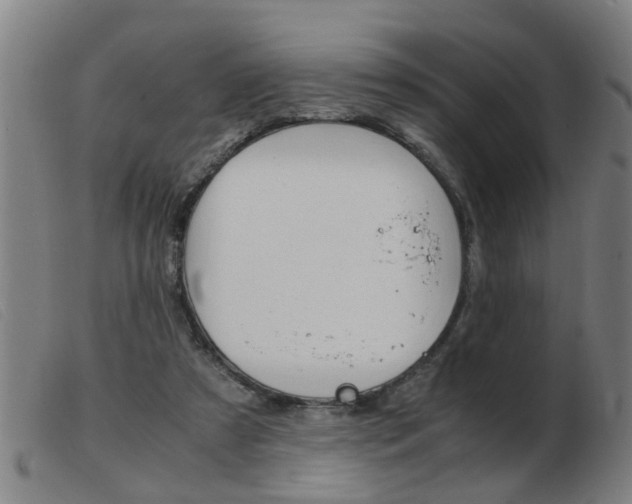 X0000103960305200809191340