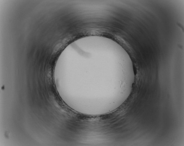 X0000103960306200809191340