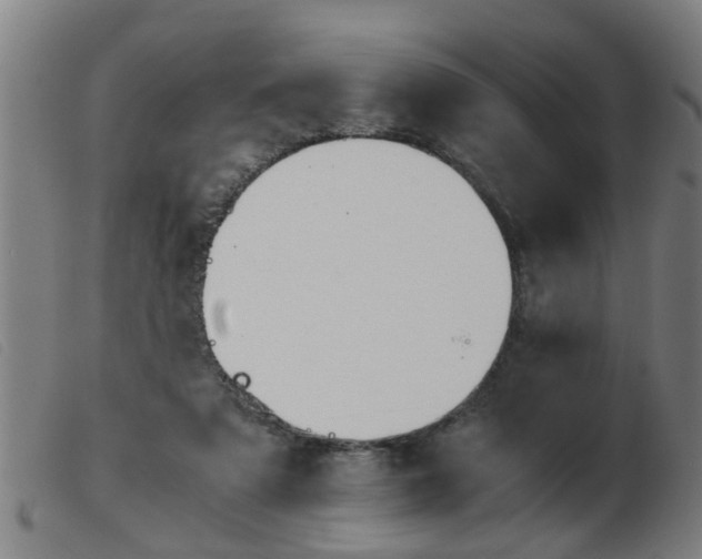 X0000103960307200809191340