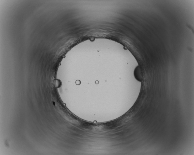 X0000103960309200809191340