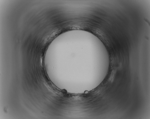 X0000103960310200809191340