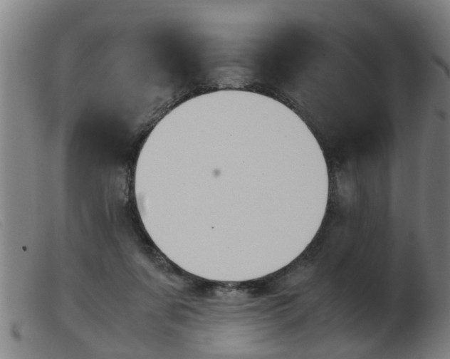 X0000103960311200809191340