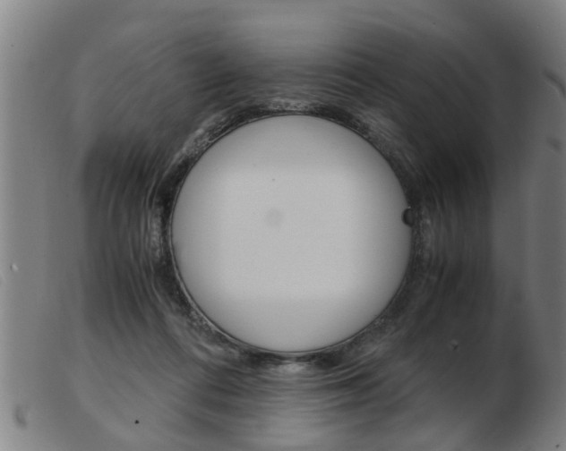 X0000103960312200809191340