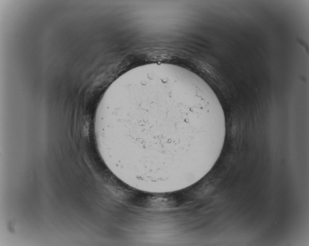 X0000103960315200809191340